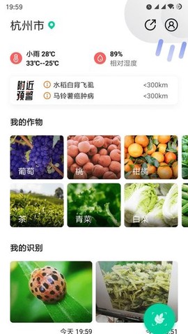 慧植大当家[图1]