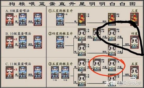 阴阳师白蛋升星用什么