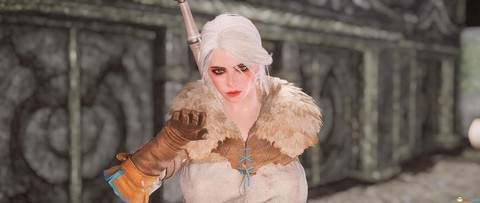 上古卷轴5怎么收随从