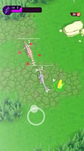 动物进化挑战图3