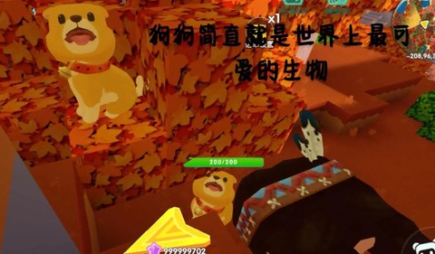 迷你世界狗怎么带回家