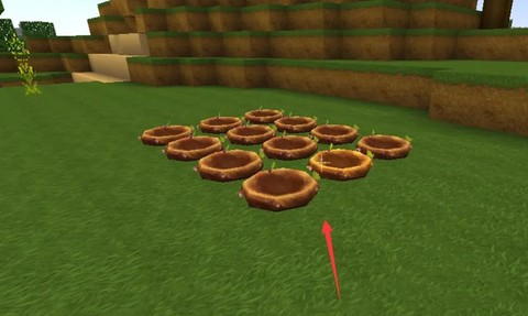 迷你世界种子是什么