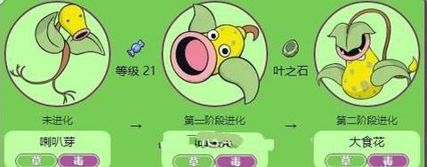 宝可梦口呆花怎么进化