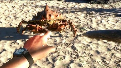 海岛战争求生图2