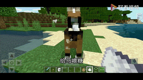 我的世界怎么训服马[图2]
