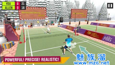 羽毛球比赛：锦标赛图3