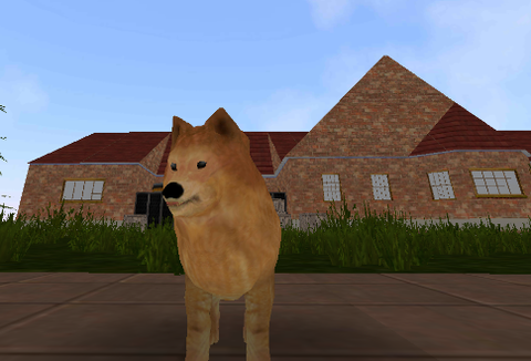 宠物狗生活模拟[图1]