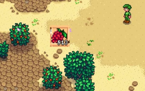 星露谷物语树莓怎么摘