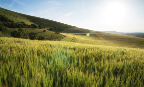 旧照修复专家[图3]