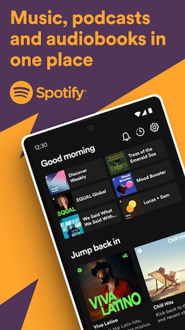 spotify图3