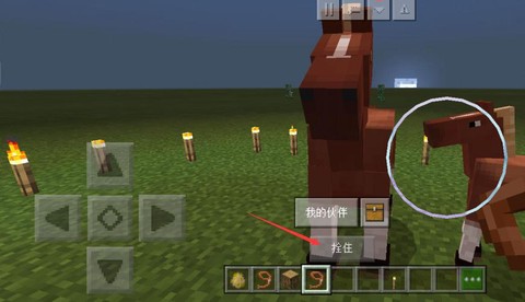 我的世界缰绳怎么用[图1]