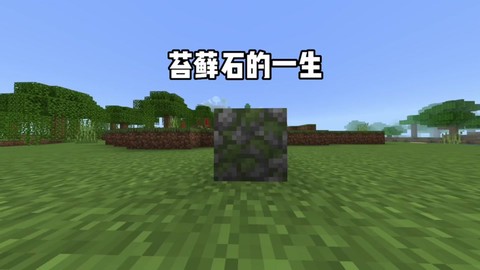 我的世界苔石怎么做