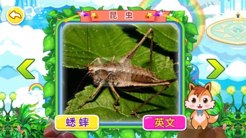 宝宝儿童动物世界图3