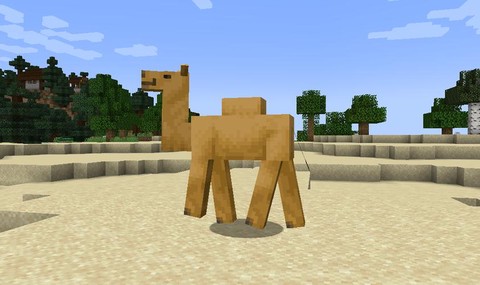 我的世界骆驼吃什么[图1]