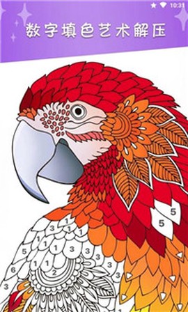 我的数字填色世界图2