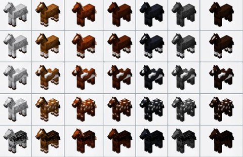 我的世界马吃什么食物