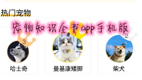 宠物知识全书[图3]