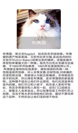 宠物知识全书图2