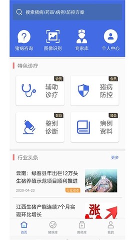 猪安全图1