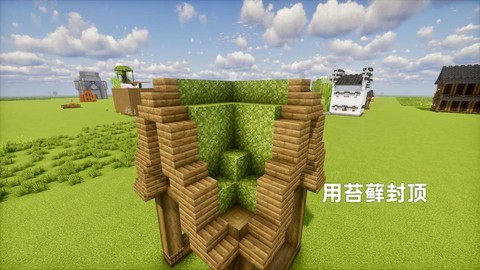 我的世界怎么去女巫家[图2]