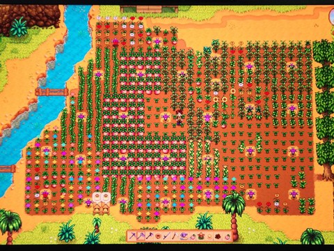 星露谷物语卖什么赚钱