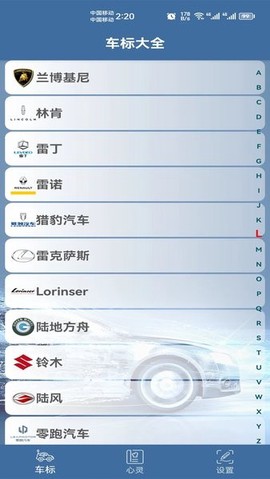 车标识车[图1]