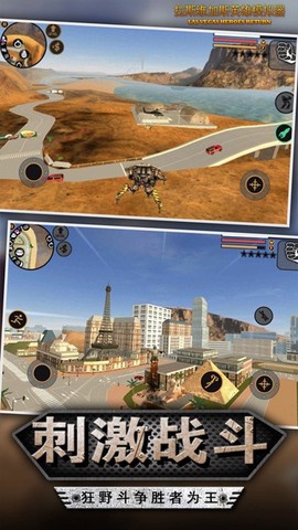 我的狂野飞车图3