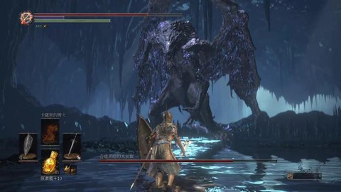 黑魂3黑龙断尾给什么