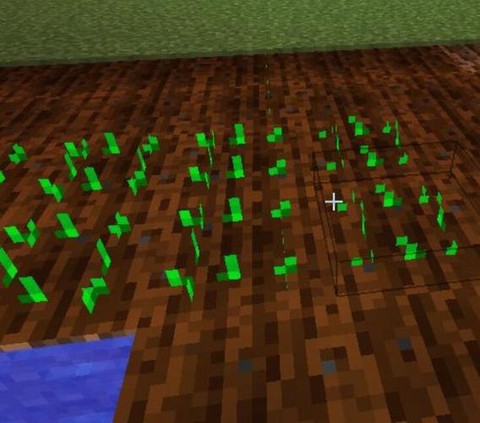 我的世界泥土怎么种菜[图1]