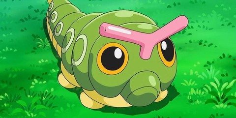 口袋妖怪虫系克什么[图1]