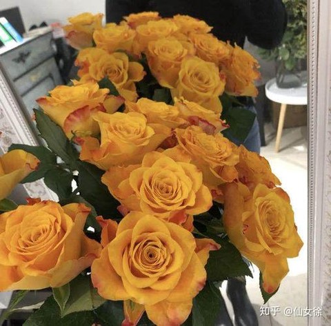 龙之谷玫瑰花怎么卖[图2]