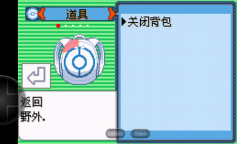 口袋妖怪金手指图2