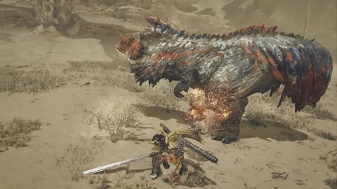 怪物猎人玩的是什么[图1]