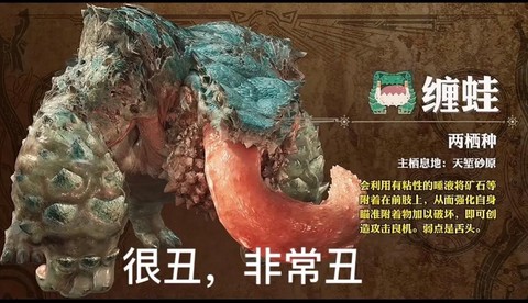 怪物猎人玩的是什么[图2]