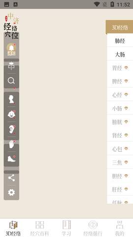 中医经络穴位图2