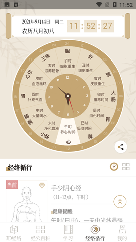中医经络穴位图3