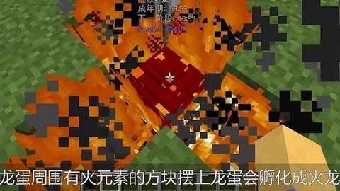 我的世界怎么孵化末影龙蛋[图2]