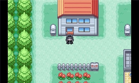 口袋妖怪火红386图3