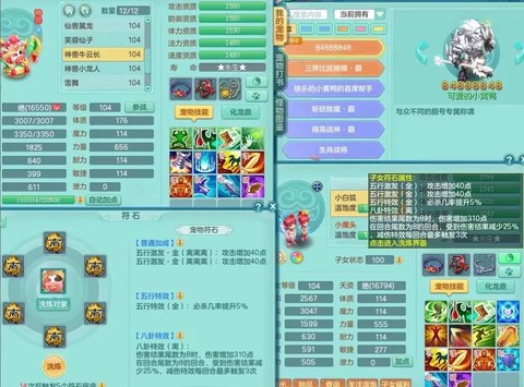 神武宠物资质怎么看