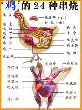 绝地求生里面的母鸡有什么用[图2]