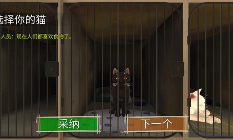 顽皮猫生活模拟图3