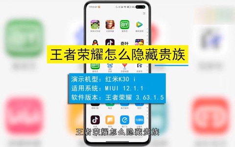 王者荣耀贵族怎么隐藏[图2]