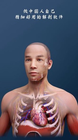 解剖大师[图2]