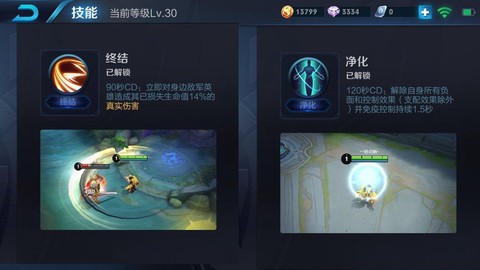 王者荣耀净化怎么用好