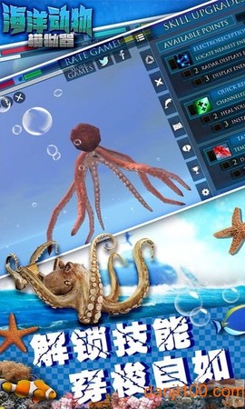 海洋动物模拟器[图1]