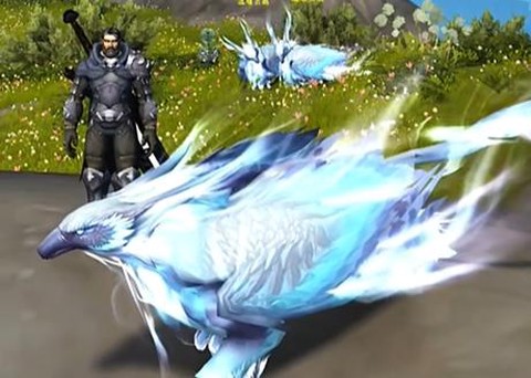 魔兽世界猎人用什么宠物