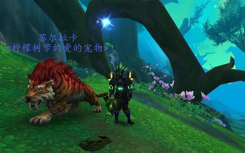 魔兽世界猎人用什么宠物[图1]