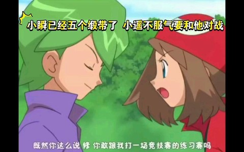 口袋妖怪的缎带有什么用