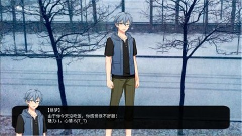 多姿多彩的青春模拟器图3