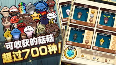 究极菇菇栽培研究室图1